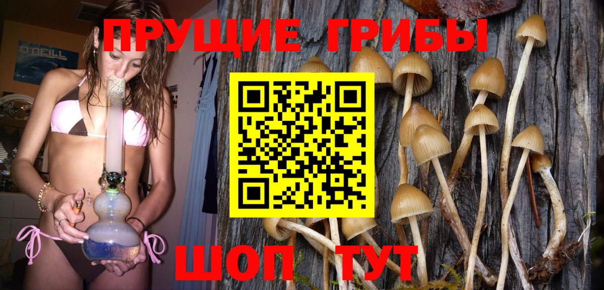 Галлюциногенные грибы прущие грибы  Псилоцибиновые грибы мухоморы  Надым  Вход с VPN 